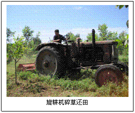 文本框:
旋耕机碎草还田